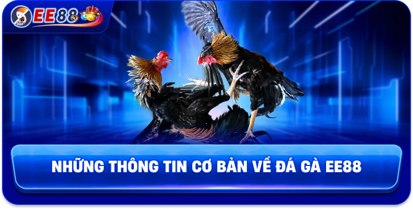 Những thông tin cơ bản về đá gà EE88